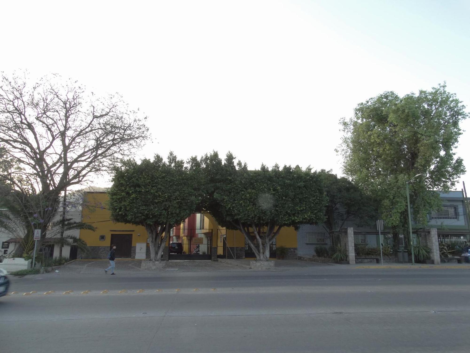 Hotel Camino De Allende San Miguel de Allende Ngoại thất bức ảnh